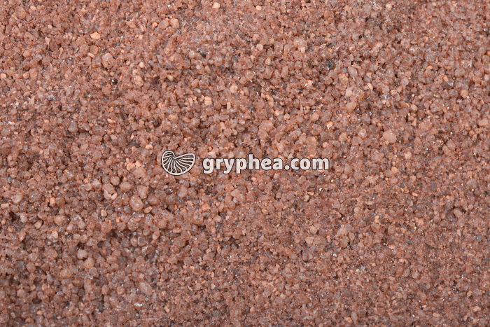 Grès rose macro x1 - gryphea.org